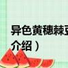 異色黃穗棘豆 變型（關(guān)于異色黃穗棘豆 變型介紹）