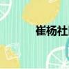 崔楊社區(qū)（關(guān)于崔楊社區(qū)簡(jiǎn)介）
