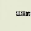 狐貍的拼音聲調(diào)（狐貍怎么讀）