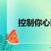 控制你心跳（關(guān)于控制你心跳簡介）
