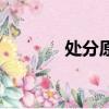 處分原則（處分原則是什么）