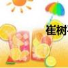 崔樹平（關(guān)于崔樹平簡介）
