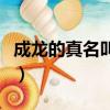 成龍的真名叫什么（他參與拍攝的電影有哪些）