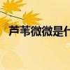 蘆葦微微是什么電視劇（男女主是誰(shuí)演的）