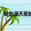 粉色滿(mǎn)天星的花語(yǔ)（粉色滿(mǎn)天星的花語(yǔ)是什么）