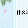 什么叫做素?cái)?shù)（素?cái)?shù)叫什么）
