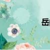 岳的拼音（岳怎么讀）