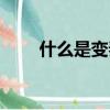 什么是變奏曲式（變奏曲式的意思）