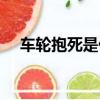 車輪抱死是什么意思（車輪抱死的解釋）