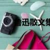 魯迅散文集有哪些（關(guān)于魯迅散文集）