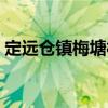 定遠倉鎮(zhèn)梅塘村（關于定遠倉鎮(zhèn)梅塘村介紹）