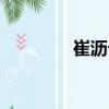 崔瀝兮（關(guān)于崔瀝兮簡(jiǎn)介）