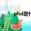 phd是什么（phd的全稱是什么）
