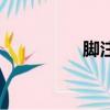腳注是什么（腳注簡述）