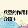 兵豆的作用和功效有哪些（兵豆的作用和功效介紹）