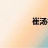 崔湯村（關(guān)于崔湯村簡介）