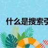 什么是搜索引擎優(yōu)化（搜索引擎優(yōu)化簡述）