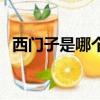 西門子是哪個(gè)國家的（西門子國籍是德國）