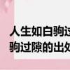 人生如白駒過隙這句話是什么意思（人生如白駒過隙的出處）