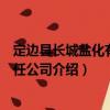 定邊縣長(zhǎng)城鹽化有限責(zé)任公司（關(guān)于定邊縣長(zhǎng)城鹽化有限責(zé)任公司介紹）