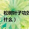 松樹葉子功效與作用（松樹葉子功效與作用是什么）