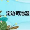 定邊茍池濕地（關(guān)于定邊茍池濕地介紹）