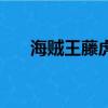海賊王藤虎介紹（現(xiàn)任海軍大將藤虎）