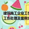 建筑施工企業(yè)工傷處理及案例分析手冊（關(guān)于建筑施工企業(yè)工傷處理及案例分析手冊介紹）