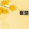崔楚奕（關(guān)于崔楚奕簡介）