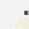 崔波（關(guān)于崔波簡(jiǎn)介）