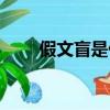 假文盲是什么意思（假文盲的解釋）