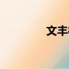 文豐村（關(guān)于文豐村簡介）