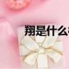 翔是什么梗（網(wǎng)絡(luò)語翔是什么意思）