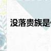 沒落貴族是什么意思（沒落貴族的意思）