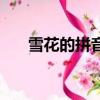 雪花的拼音怎么寫（詞語雪花的拼音）