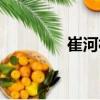 崔河村（關(guān)于崔河村簡(jiǎn)介）