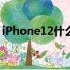 iPhone12什么時候上市（iPhone上市時間）