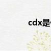 cdx是什么意思（cdx的意思）