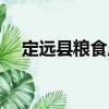 定遠(yuǎn)縣糧食局（關(guān)于定遠(yuǎn)縣糧食局介紹）
