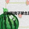 控制陽離子聚合及其應(yīng)用（關(guān)于控制陽離子聚合及其應(yīng)用簡介）