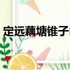 定遠(yuǎn)藕塘錐子山（關(guān)于定遠(yuǎn)藕塘錐子山介紹）