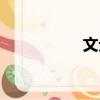 文元（關(guān)于文元簡(jiǎn)介）