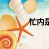 忙內(nèi)是什么（是怎么解釋的）