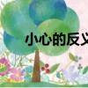 小心的反義詞（小心的反義詞及釋義）