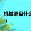機械鍵盤什么軸的比較好（機械鍵盤什么軸好）