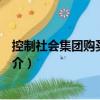 控制社會集團購買力審計（關于控制社會集團購買力審計簡介）