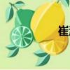 崔涯（關(guān)于崔涯簡介）