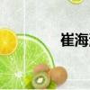 崔海清（關(guān)于崔海清簡介）