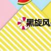 黑旋風(fēng)是誰(shuí)（黑旋風(fēng)李逵簡(jiǎn)介）