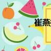 崔燕振（關(guān)于崔燕振簡(jiǎn)介）